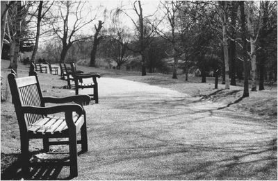 Empty bench in park