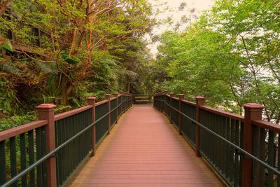 Footbridge amidst trees in forest