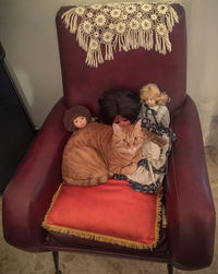 Young man sitting on sofa at home