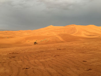 People on sand dune in desert against sky