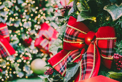 Close-up of christmas tree