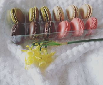 High angle view of multi colored candies on white surface