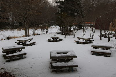 Snow covered land and trees on field during winter