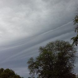 Low angle view of trees against cloudy sky