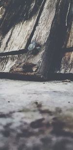 Surface level of wood against the sky