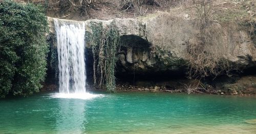 Scenic view of waterfall in forest