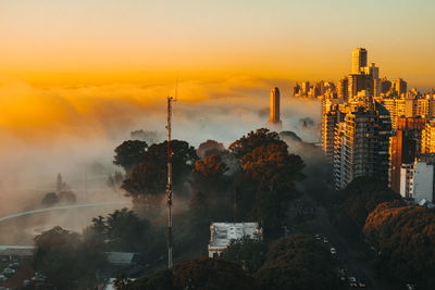 Trees and buildings against sky during sunset