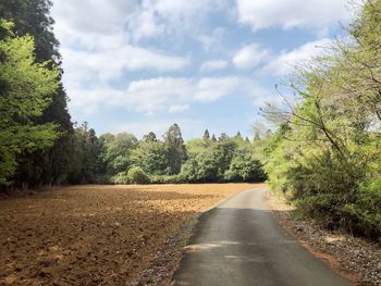 Road amidst trees against sky