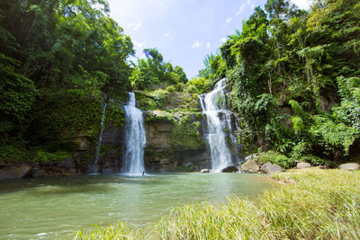 Scenic view of waterfall in forest