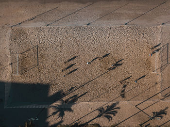 Aerial view of people playing football at beach