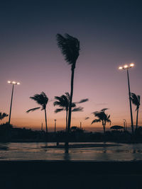 Silhouette palm trees by street against sky at sunset