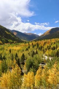 Scenic view of landscape against sky during autumn