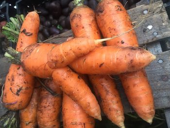 Close-up of carrots