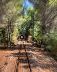 Blurred motion of railroad tracks amidst trees in forest