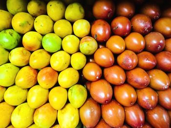 Full frame shot of oranges