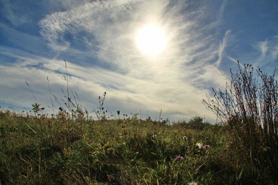 sky, grass, sun, growth, beauty in nature, tranquility, field, plant, nature, tranquil scene, sunlight, cloud - sky, sunbeam, scenics, landscape, cloud, lens flare, grassy, outdoors, no people