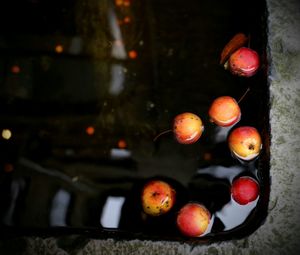 Close-up of fruits in water