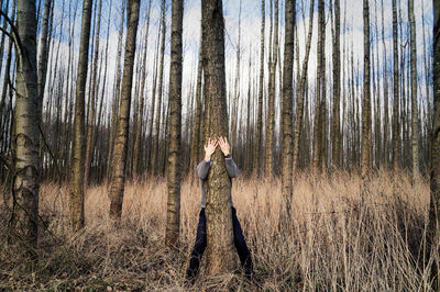 Man standing by tree in forest against sky