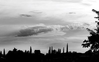 Silhouette trees against sky in city