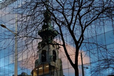 Low angle view of tree and building against sky