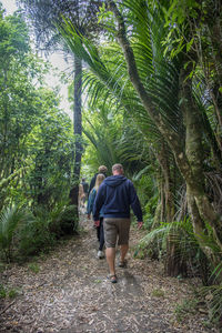 Rear view of woman walking on footpath in forest