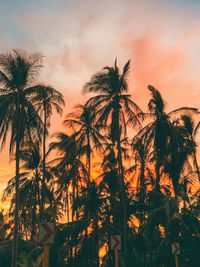 Silhouette palm trees against sky during sunset