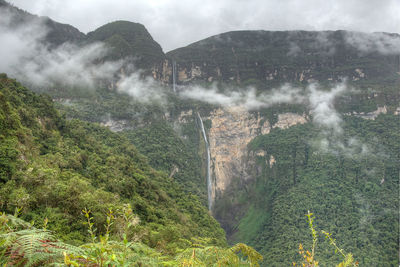 View of trees on mountain