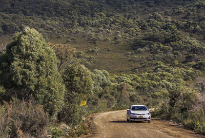 Car on road by land