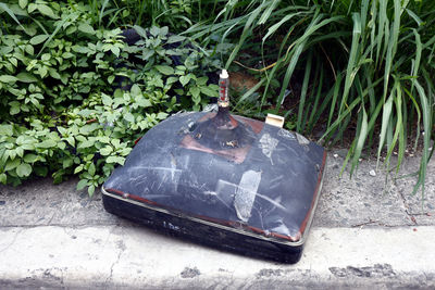 High angle view of old container against plants in yard