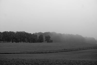 Trees on field against sky