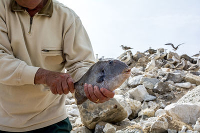 Midsection of man holding bird against sky