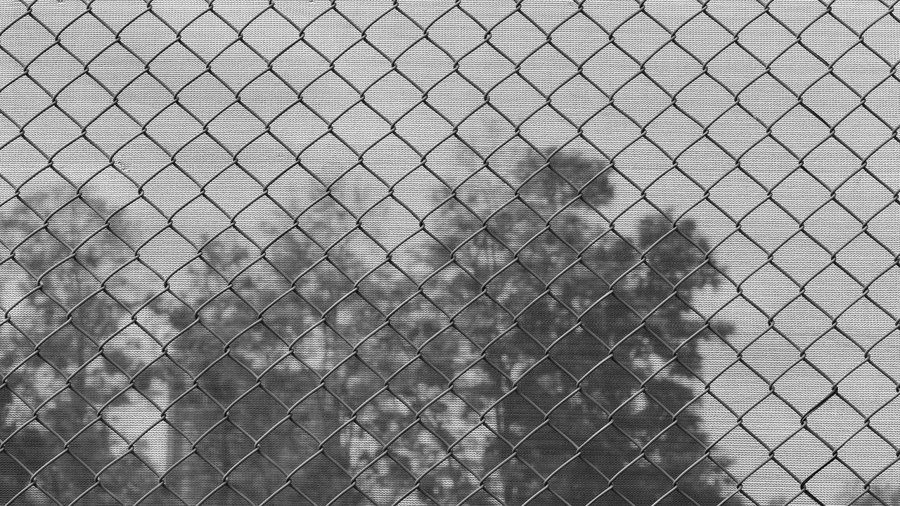 PANORAMIC VIEW OF CHAINLINK FENCE BY PLANTS