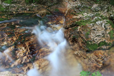 Stream flowing through rocks in forest