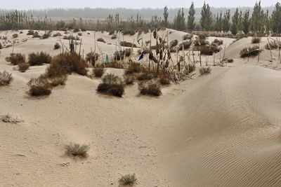 Panoramic view of people on beach