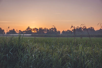 Scenic view of field against sky during sunset