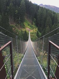 Footbridge in forest