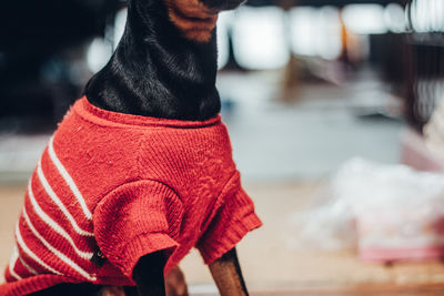 Meat section of blac dog wearing red cloth