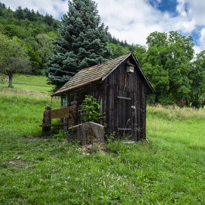 Abandoned house on field against trees