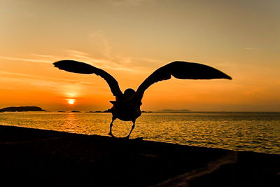 Silhouette person by sea against sky during sunset