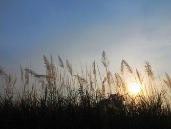 Scenic view of silhouette field against sky at sunset