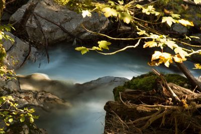 Scenic view of waterfall