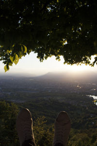 Low section of man by tree against sky