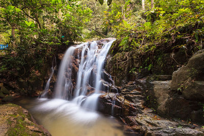 Waterfall in forest