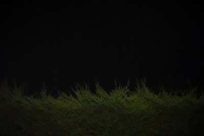 View of landscape at night