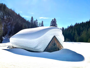 Snow covered land and trees against sky