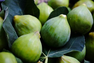 Close-up of fruits