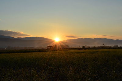 Scenic view of field against sky during sunset