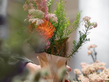 Cropped hand holding plant