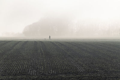 Fog over meadows and fields on the outskirts of bünde in east westphalia