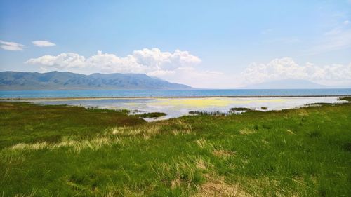 Scenic view of sea against cloudy sky